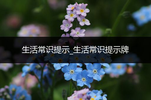 生活常识提示_生活常识提示牌