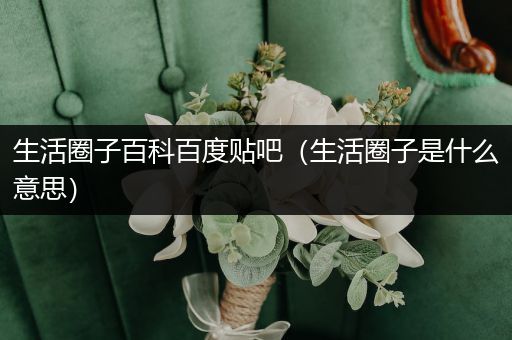 生活圈子百科百度贴吧（生活圈子是什么意思）