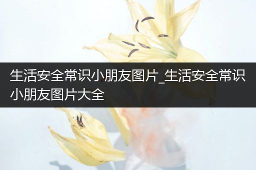 生活安全常识小朋友图片_生活安全常识小朋友图片大全