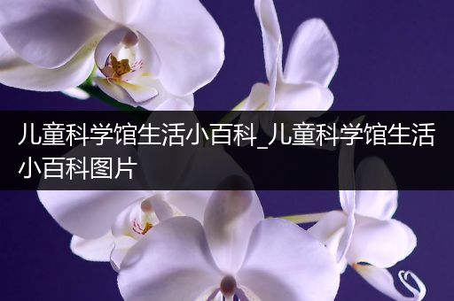 儿童科学馆生活小百科_儿童科学馆生活小百科图片