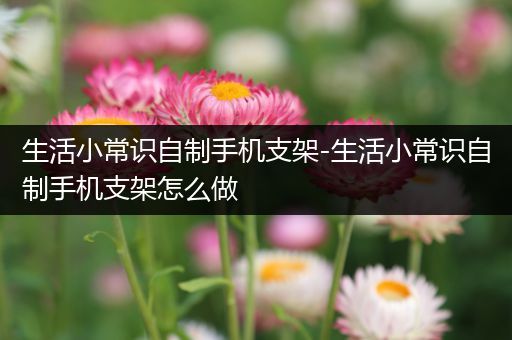 生活小常识自制手机支架-生活小常识自制手机支架怎么做