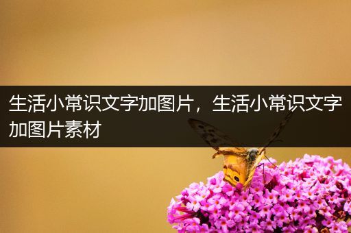 生活小常识文字加图片，生活小常识文字加图片素材