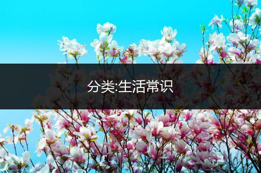  分类:生活常识 