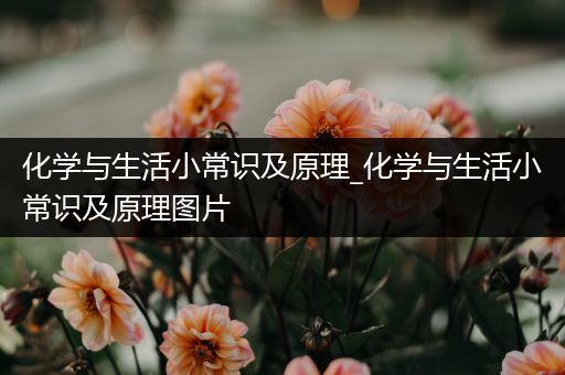 化学与生活小常识及原理_化学与生活小常识及原理图片