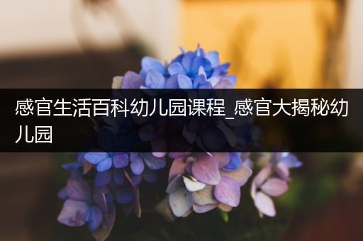 感官生活百科幼儿园课程_感官大揭秘幼儿园