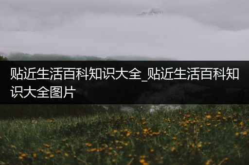 贴近生活百科知识大全_贴近生活百科知识大全图片