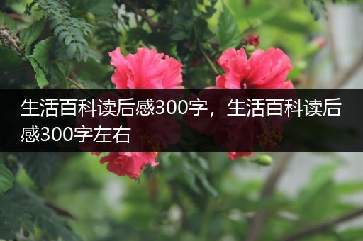 生活百科读后感300字，生活百科读后感300字左右