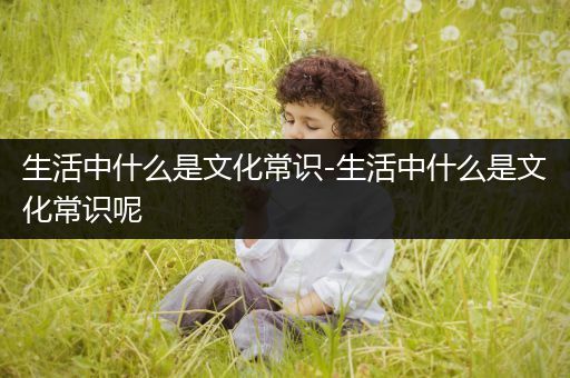 生活中什么是文化常识-生活中什么是文化常识呢