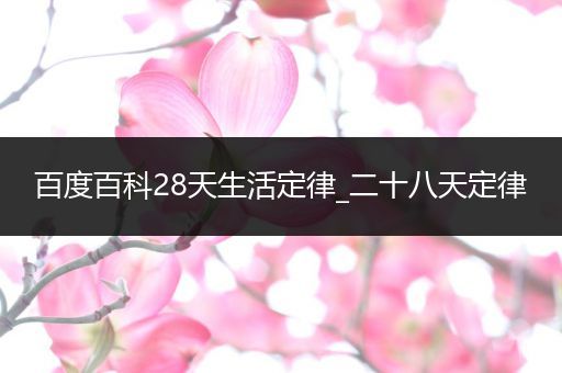 百度百科28天生活定律_二十八天定律