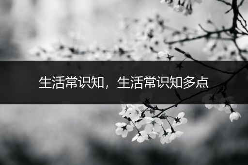 生活常识知，生活常识知多点