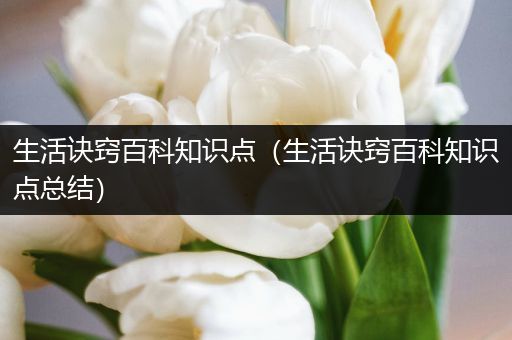 生活诀窍百科知识点（生活诀窍百科知识点总结）