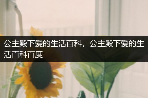 公主殿下爱的生活百科，公主殿下爱的生活百科百度