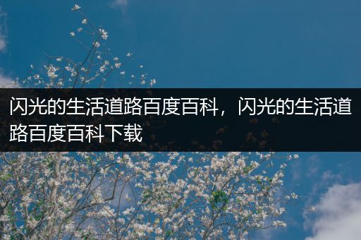 闪光的生活道路百度百科，闪光的生活道路百度百科下载