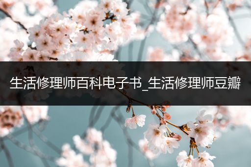 生活修理师百科电子书_生活修理师豆瓣