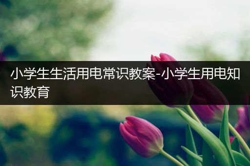 小学生生活用电常识教案-小学生用电知识教育