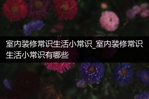 室内装修常识生活小常识_室内装修常识生活小常识有哪些