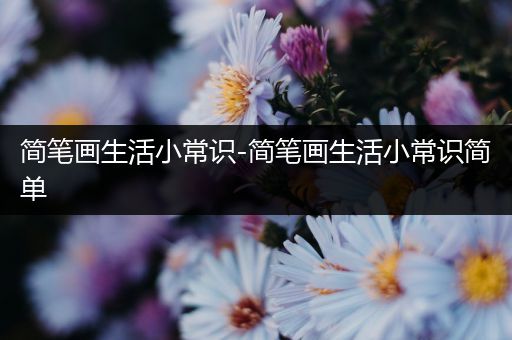 简笔画生活小常识-简笔画生活小常识简单