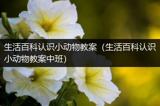 生活百科认识小动物教案（生活百科认识小动物教案中班）