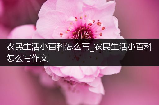 农民生活小百科怎么写_农民生活小百科怎么写作文