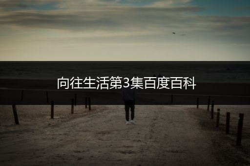 向往生活第3集百度百科