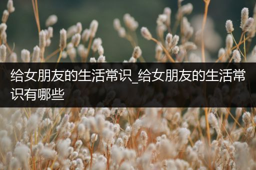 给女朋友的生活常识_给女朋友的生活常识有哪些