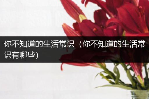 你不知道的生活常识（你不知道的生活常识有哪些）