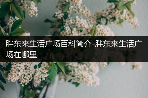 胖东来生活广场百科简介-胖东来生活广场在哪里