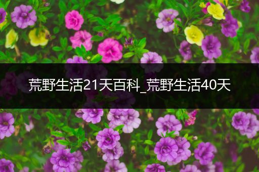 荒野生活21天百科_荒野生活40天