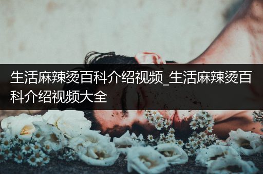 生活麻辣烫百科介绍视频_生活麻辣烫百科介绍视频大全