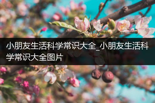 小朋友生活科学常识大全_小朋友生活科学常识大全图片