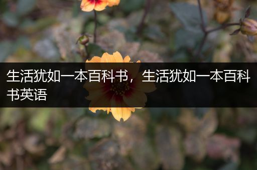 生活犹如一本百科书，生活犹如一本百科书英语