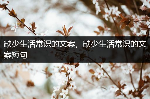 缺少生活常识的文案，缺少生活常识的文案短句