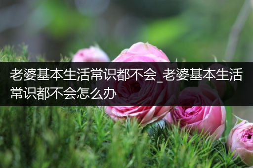 老婆基本生活常识都不会_老婆基本生活常识都不会怎么办