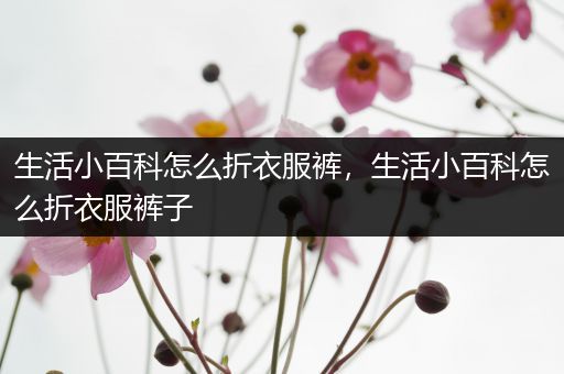 生活小百科怎么折衣服裤，生活小百科怎么折衣服裤子