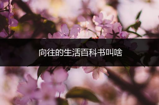 向往的生活百科书叫啥