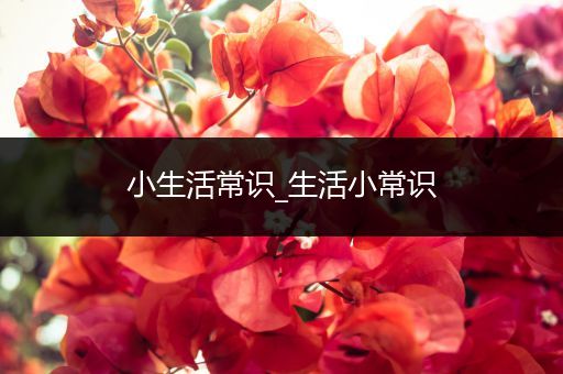 小生活常识_生活小常识