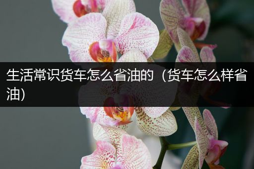 生活常识货车怎么省油的（货车怎么样省油）