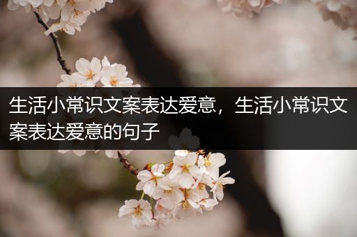 生活小常识文案表达爱意，生活小常识文案表达爱意的句子