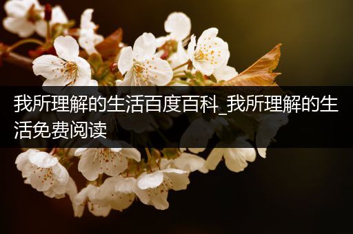 我所理解的生活百度百科_我所理解的生活免费阅读