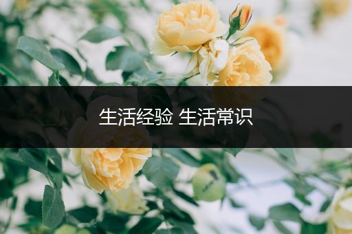 生活经验 生活常识