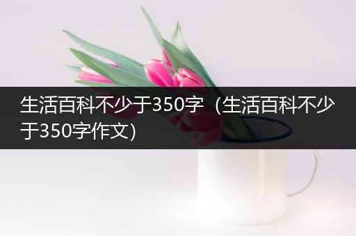 生活百科不少于350字（生活百科不少于350字作文）