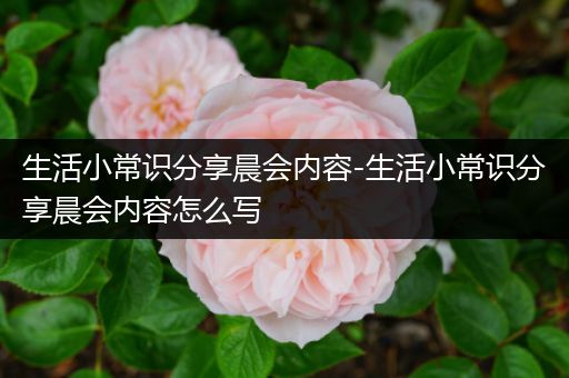 生活小常识分享晨会内容-生活小常识分享晨会内容怎么写