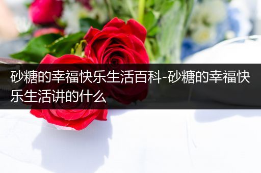 砂糖的幸福快乐生活百科-砂糖的幸福快乐生活讲的什么