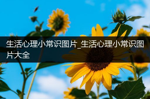 生活心理小常识图片_生活心理小常识图片大全