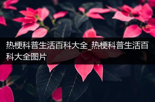 热梗科普生活百科大全_热梗科普生活百科大全图片