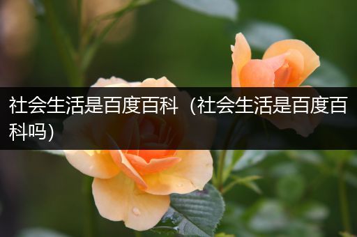 社会生活是百度百科（社会生活是百度百科吗）