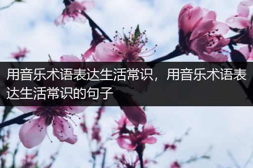 用音乐术语表达生活常识，用音乐术语表达生活常识的句子