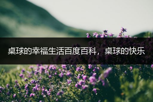 桌球的幸福生活百度百科，桌球的快乐