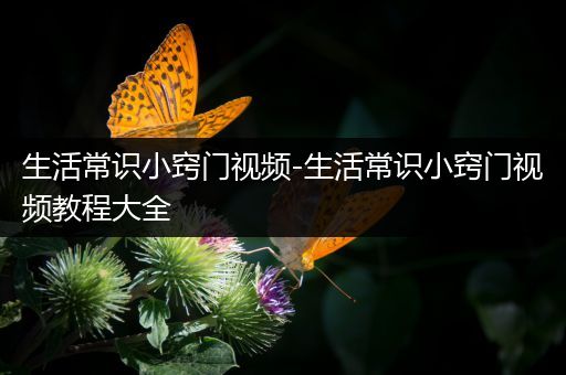 生活常识小窍门视频-生活常识小窍门视频教程大全