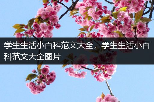 学生生活小百科范文大全，学生生活小百科范文大全图片